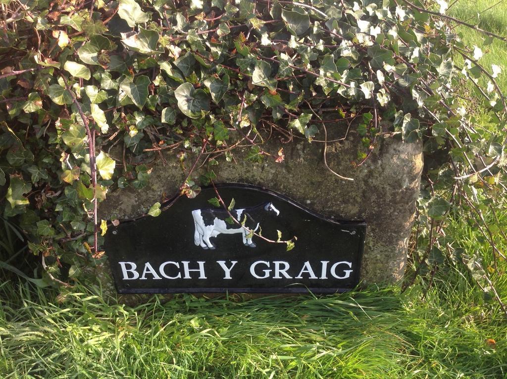 ホテル Bach Y Graig セント・アサフ エクステリア 写真